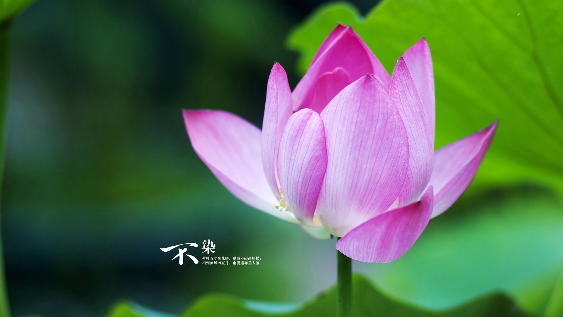 中超球队防守效率排行榜，中超球队防守效率排行榜前十名