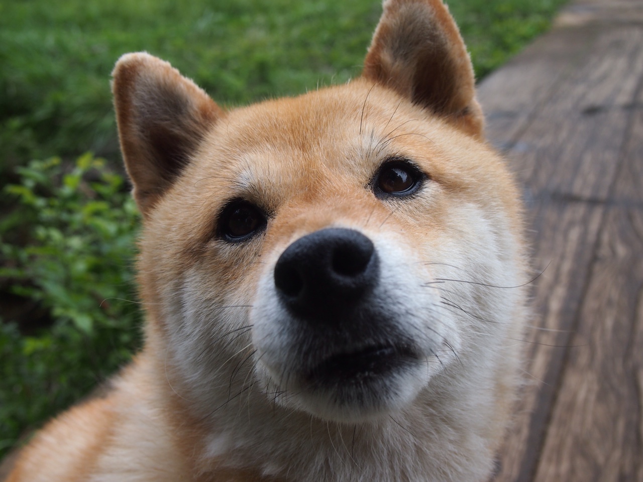 爱游戏官网-中超外援替代方案绩效评估，中超外援将限薪